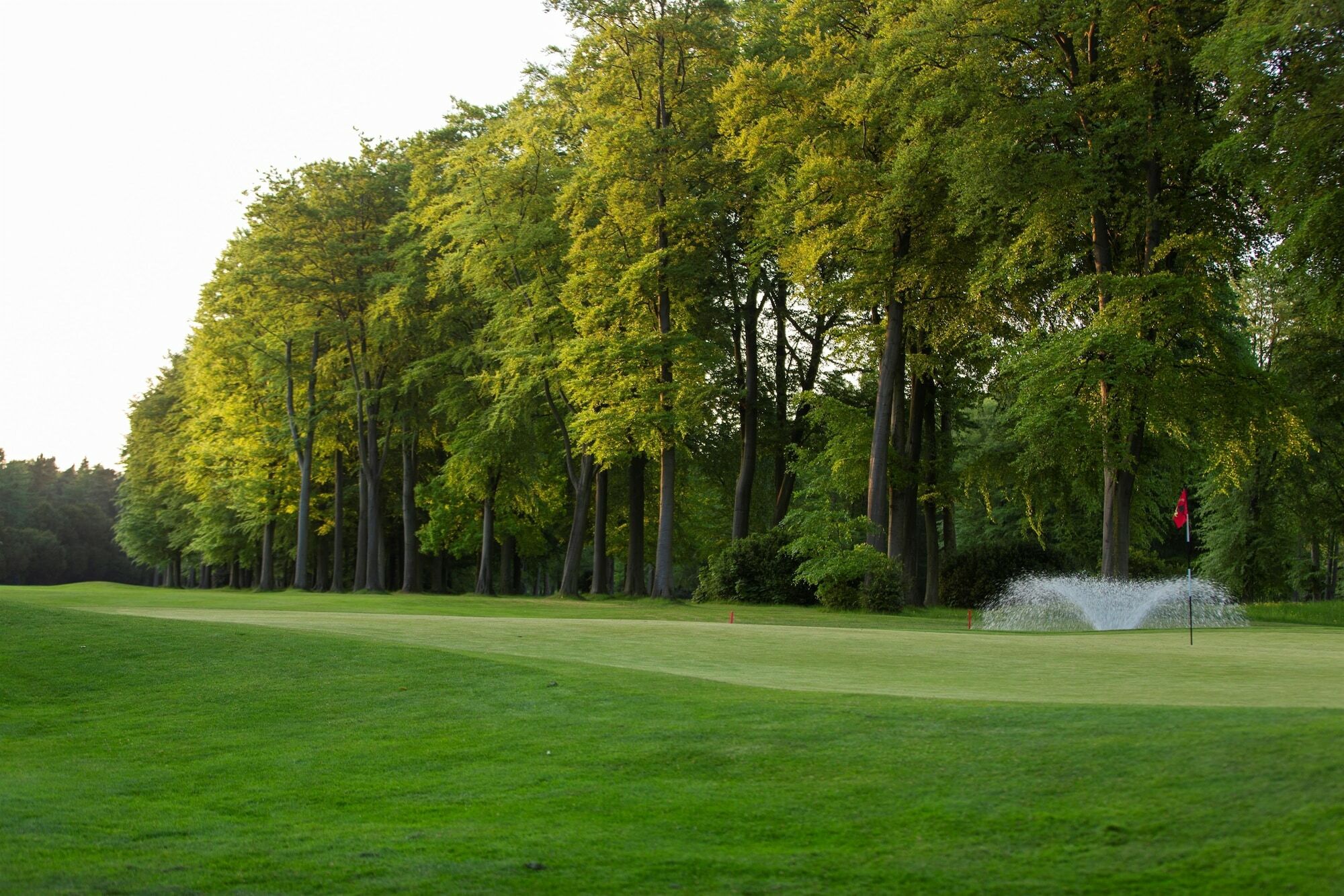 Forest Pines Hotel, Spa & Golf Resort Brigg Buitenkant foto