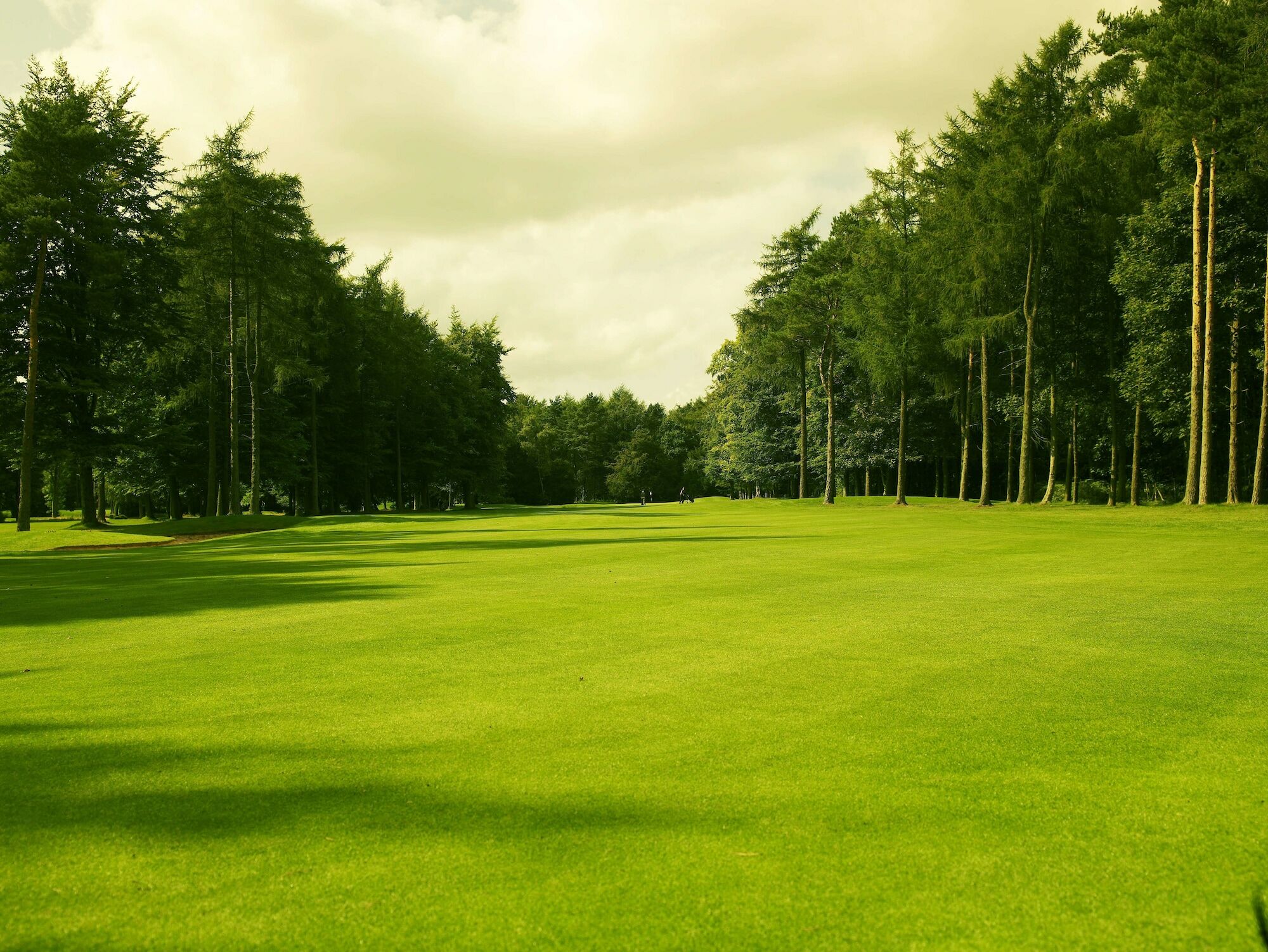 Forest Pines Hotel, Spa & Golf Resort Brigg Buitenkant foto